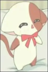 Lui tout le monde le connaît !