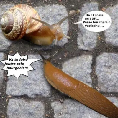 Terminez ce proverbe à la con. 'Une limace... '