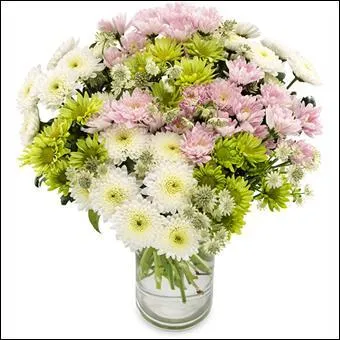 Dans un vase, ces fleurs peuvent aussi être gaies :