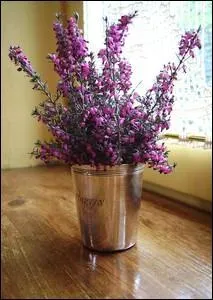 Voici des fleurs de saison qui orneront joliment votre intérieur :