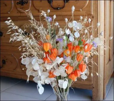 On retrouve ces mêmes fleurs qui se marient à merveille avec les lunaires qu'on appelle plus fréquemment :