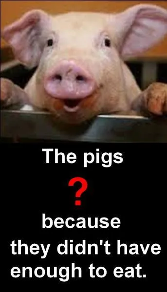 Quelle est la bonne réponse ?