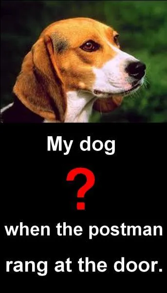 Quelle est la bonne réponse ?