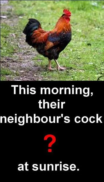 Quelle est la bonne réponse ?