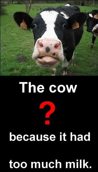 Quelle est la bonne réponse ?