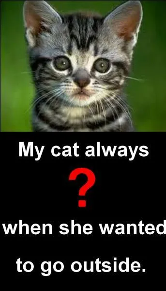 Quelle est la bonne réponse ?