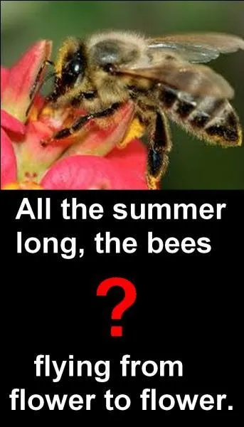 Quelle est la bonne réponse ?