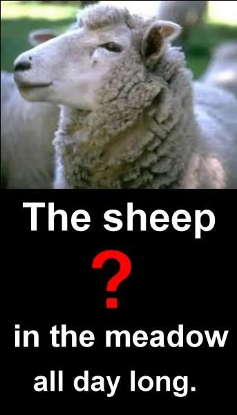 Quelle est la bonne réponse ?