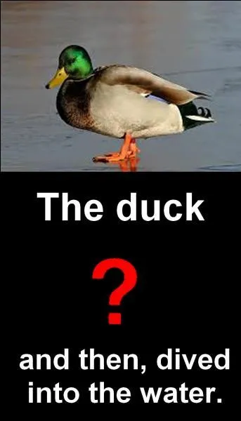 Quelle est la bonne réponse ?