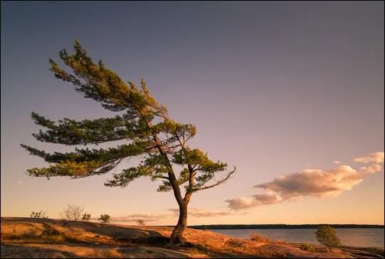 Quel est ce vent de secteur Nord qui souffle le long de la Vall&eacute;e du Rh&ocirc;ne ?