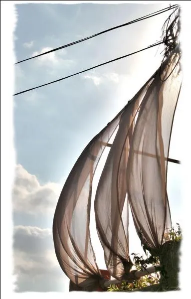 Qui chantait "Et si tu crois que j'ai eu tort, attends... Respire un peu le souffle d'or qui me pousse en avant..." ?