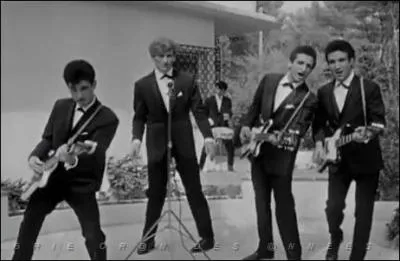 "Oh, Daniela, la vie n'est qu'un jeu pour toi. Oh, Daniela, pourtant ne croit pas, que tu peux, oh, Daniela jouer avec l'amour sans risquer de te brûler un jour". Quel groupe de rock français des années 60, interprète ses paroles ?