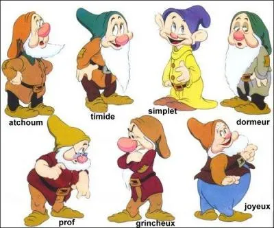 Ces sept petits bonhommes appartiennent à une de ces princesses...