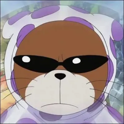 En quoi Mr. 13 est-il remarquablement doué ?