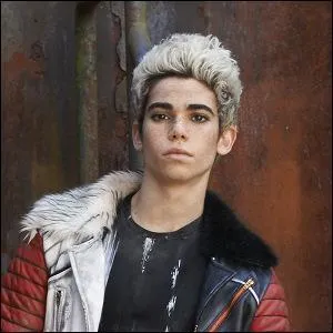 Dans quelle série voit-on Cameron Boyce ?