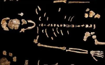 Dans une grotte, à 30 mètres sous la surface du sol, qu'a-t-on découvert ?