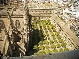 La mosqu&eacute;e-cath&eacute;drale de Cordoue s'ouvre par dix-neuf portes sur la Cour des orangers. A l'origine, des cypr&egrave;s, lauriers, palmiers et oliviers y poussaient. Qui a remplac&eacute; ces v&eacute;g&eacute;taux par des orangers ?