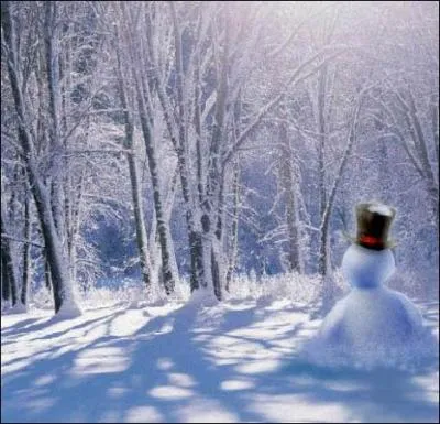 "Dans la nuit de l'hiver galope un grand homme blanc, c'est un bonhomme de neige avec une pipe en bois" extrait d'un poème de :