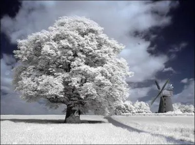 De qui sont les vers " La neige emplit le noir sillon, la lumière est diminuée, ferme ta porte à l'aquilon, ferme ta vitre à la nuée", extraits d'un poème des Contemplations ?