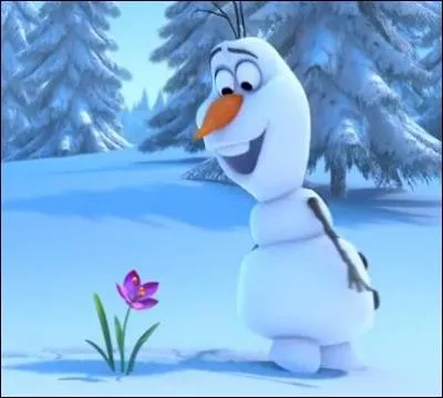 Quel est le nom de ce bonhomme de neige bien connu ?