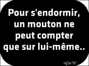 Mon indice est : 'Dessine-moi un mouton' ...