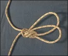 Quel autre nom donne-t-on aussi au noeud de papillon alpin ?