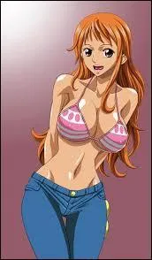 À combien s'élève la dernière prime de Nami ?