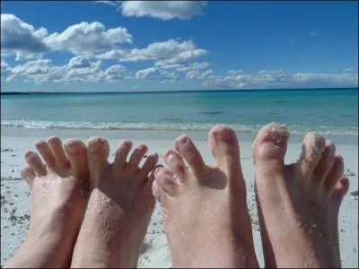 Terminons le quiz par ce groupe : Voilà l'hiver !