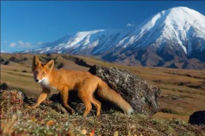 Garcia est reparti !