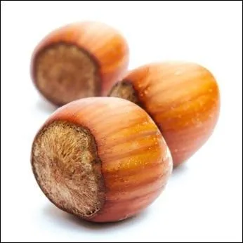 Il y a deux jeunes filles qui me courent après, la première dans l'oeuvre originale, se prénomme...