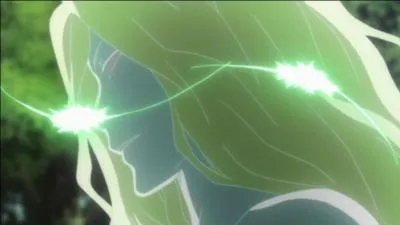 Je suis la Couronne Funéraire de la Foudre et suis un Byakuran venu d'un monde parallèle. Je suis :