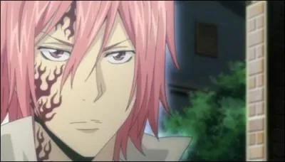 Je fus le premier Gardien de la Tempête ainsi que le bras droit de Giotto. Qui suis-je ?