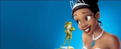 Cette image correspond à...