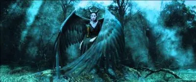 Cette image correspond à...