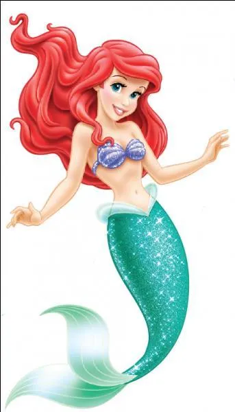 Cette image correspond à ...