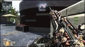 Quel est ce camouflage ?