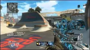 Quel est ce camouflage ?