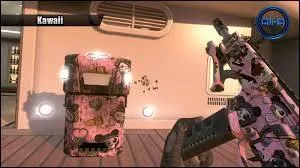 Quel est ce camouflage ?