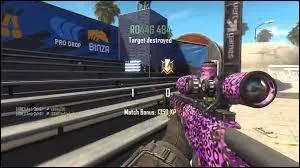 Quel est ce camouflage ?