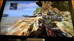 Quel est ce camouflage ?