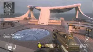 Quel est ce camouflage ?