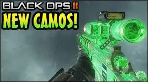 Quel est ce camouflage ?