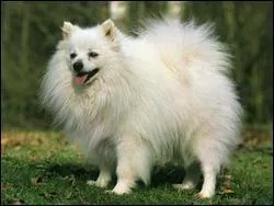 Le reconnaissez-vous ?