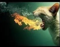 En astrologie, quels sont les signes zodiacaux liés à l'élément du feu ?