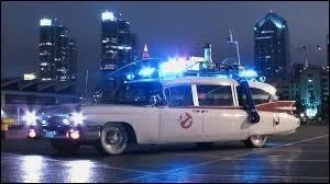 Parmi ces différents "feux" présents sur une automobile, lesquels n'existent pas ?