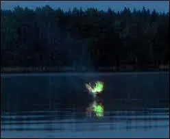 Quelle appellation donne-t-on à cette courte manifestation lumineuse colorée, se produisant principalement autour des marais et des cimetières ?