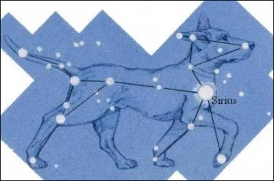 La naine blanche Sirius B sera de retour dès le nouvel an dans la constellation du grand ours.