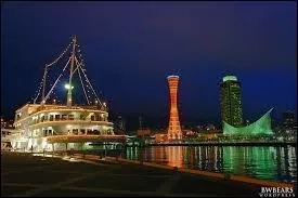 Quel port ne se trouve pas au Viêt Nam ?