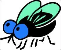 S'agit-il d'un vert&eacute;br&eacute; ou d'un invert&eacute;br&eacute; ?