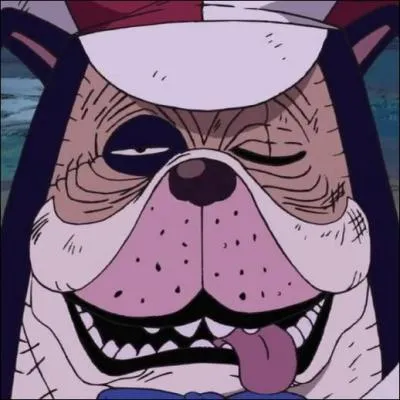 Contre quels membres de l'équipage au Chapeau de paille Inuppe se bat-il ?